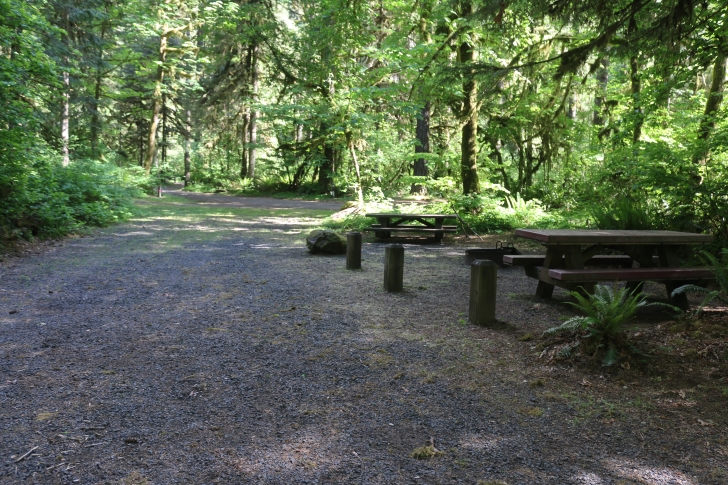 Trout Creek Campground on the South Santiam River