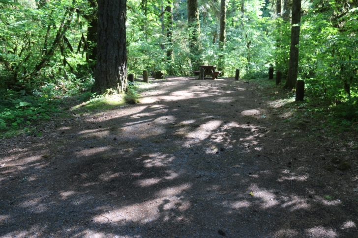 Trout Creek Campground on the South Santiam River