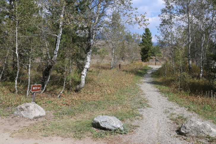 A guide to camping in Easley Campground near Sun Valley / Ketchum Idaho