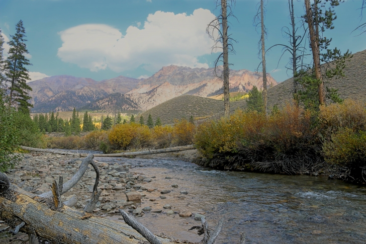 A guide to camping in Easley Campground near Sun Valley / Ketchum Idaho