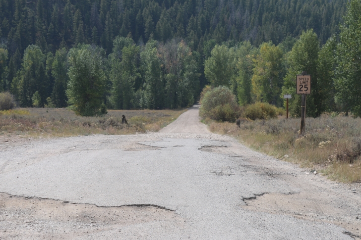 A guide to camping in Easley Campground near Sun Valley / Ketchum Idaho