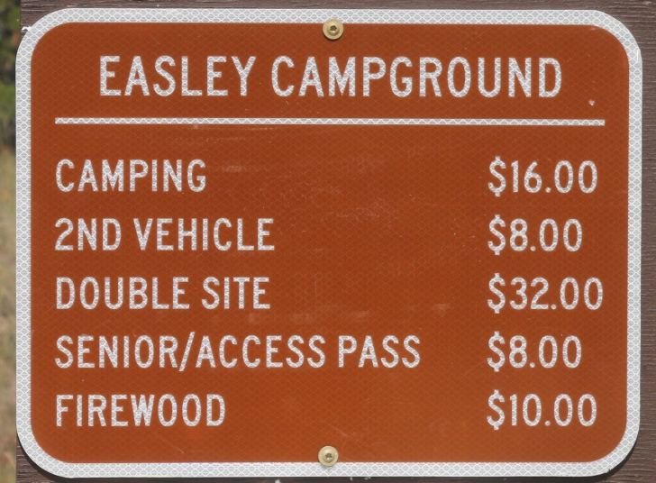 A guide to camping in Easley Campground near Sun Valley / Ketchum Idaho