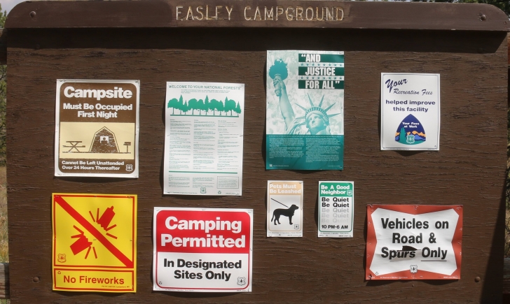 A guide to camping in Easley Campground near Sun Valley / Ketchum Idaho