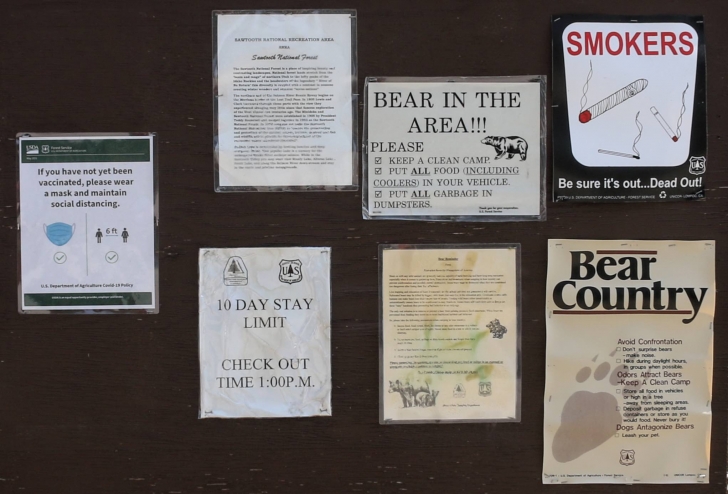 A guide to camping in Easley Campground near Sun Valley / Ketchum Idaho