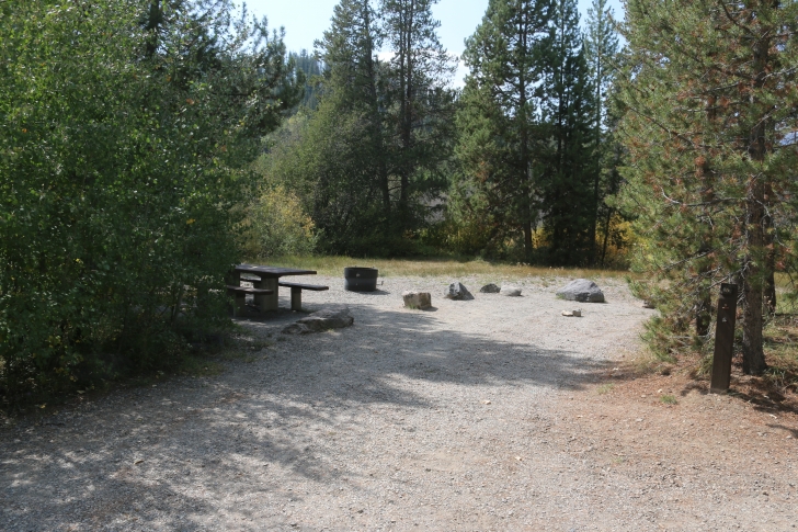 A guide to camping in Easley Campground near Sun Valley / Ketchum Idaho