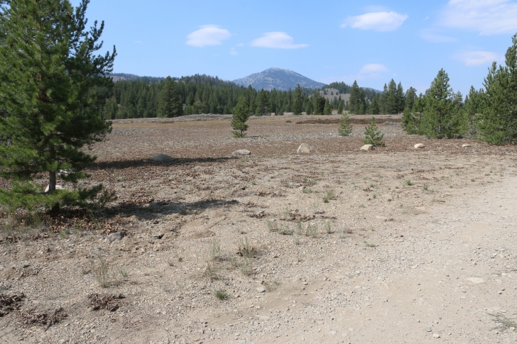 A guide to camping in Easley Campground near Sun Valley / Ketchum Idaho