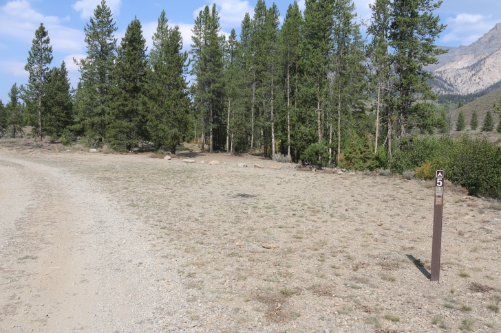 A guide to camping in Easley Campground near Sun Valley / Ketchum Idaho