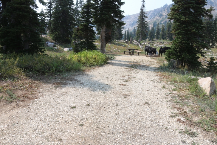 Camping at Lake Cleveland in South Central Idaho