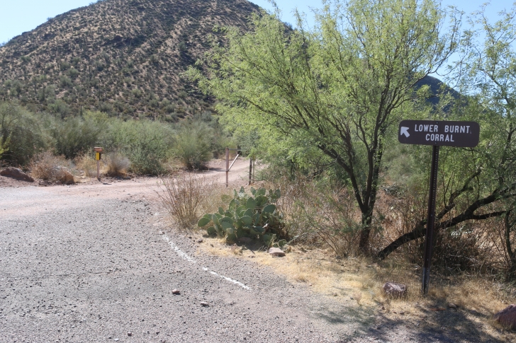 Camping in Lower Burnt Corral Recreation Site - Arizona