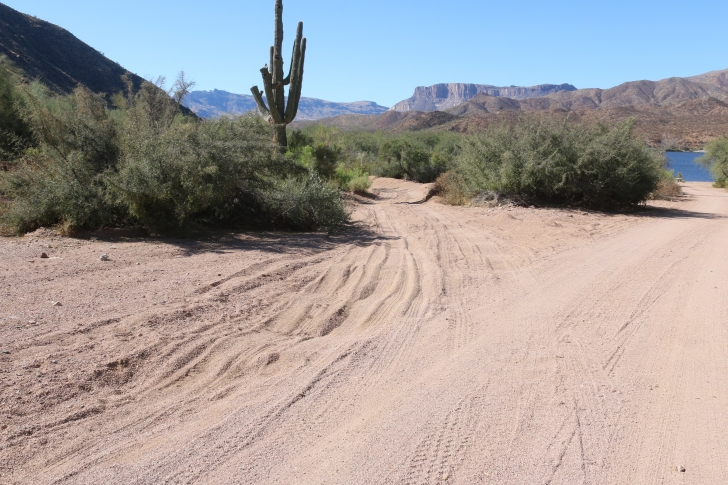 Camping in Lower Burnt Corral Recreation Site - Arizona
