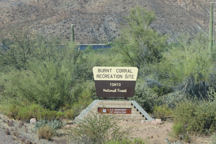 Camping in Lower Burnt Corral Recreation Site - Arizona