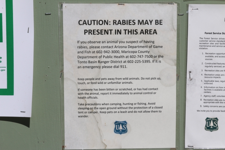 Camping in Lower Burnt Corral Recreation Site - Arizona