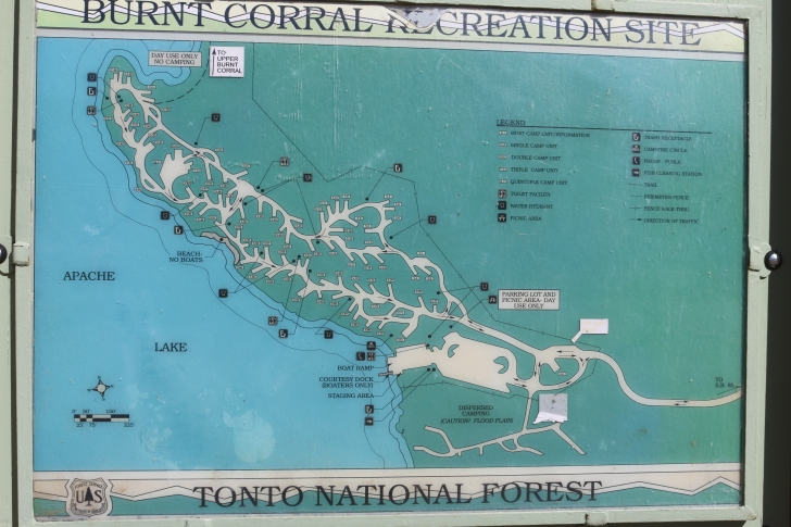 Camping in Lower Burnt Corral Recreation Site - Arizona