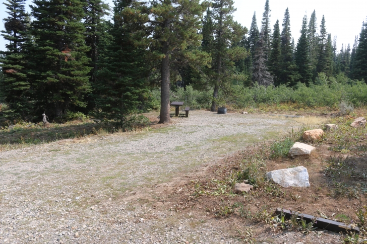 A Guide to Camping in Thompson Flat Campground Near Mount Harrison