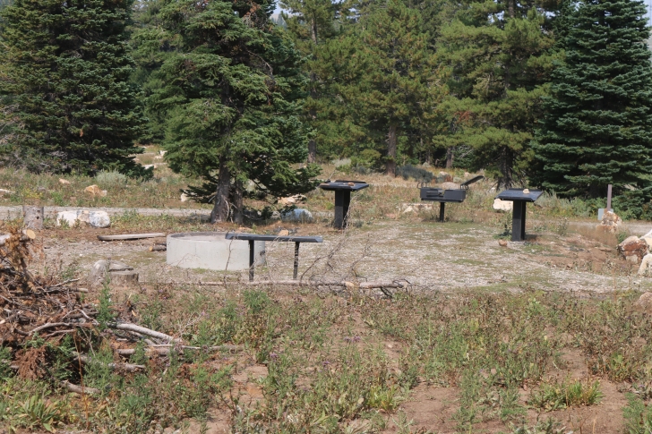 A Guide to Camping in Thompson Flat Campground Near Mount Harrison