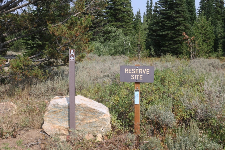 A Guide to Camping in Thompson Flat Campground Near Mount Harrison