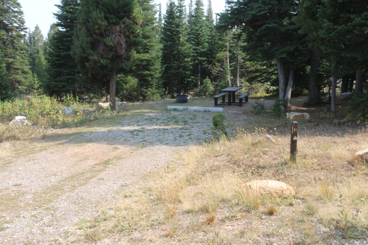 A Guide to Camping in Thompson Flat Campground Near Mount Harrison