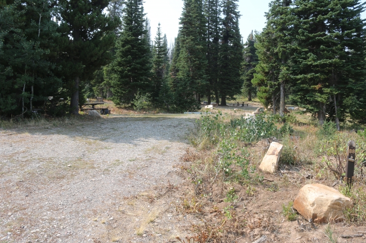 A Guide to Camping in Thompson Flat Campground Near Mount Harrison