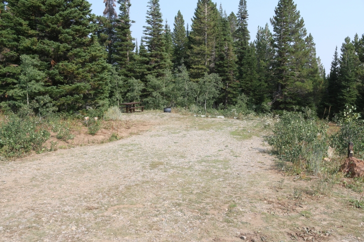 A Guide to Camping in Thompson Flat Campground Near Mount Harrison