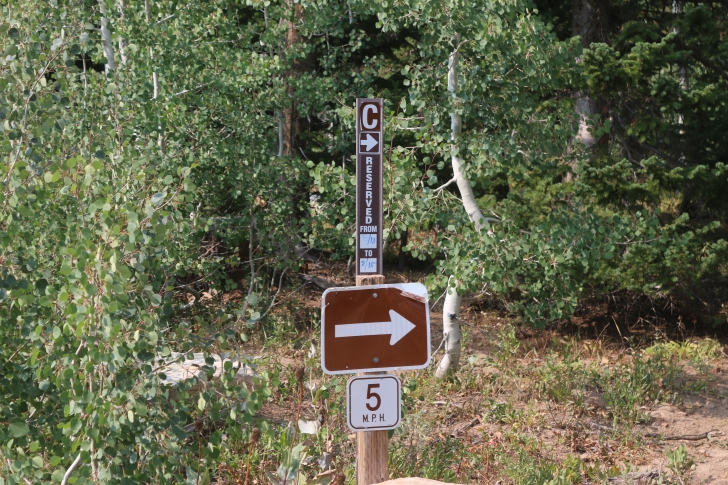 A Guide to Camping in Thompson Flat Campground Near Mount Harrison