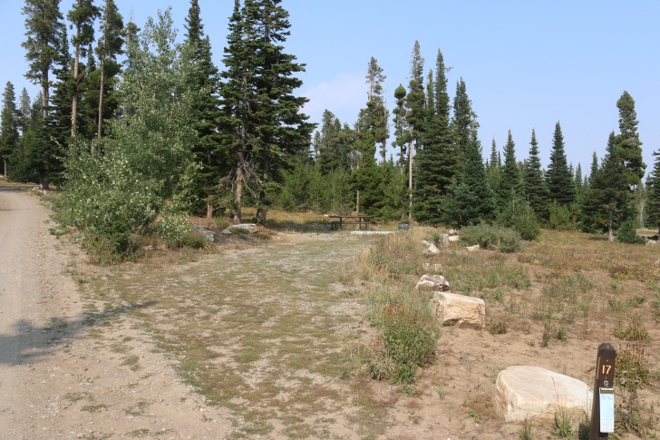 A Guide to Camping in Thompson Flat Campground Near Mount Harrison