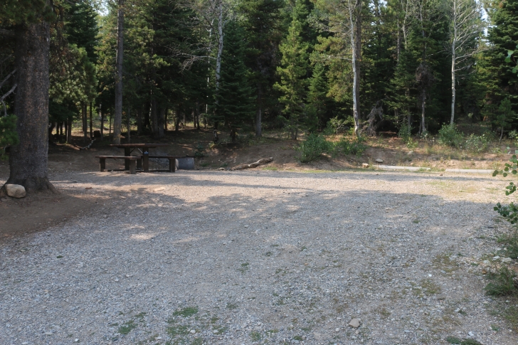 A Guide to Camping in Thompson Flat Campground Near Mount Harrison