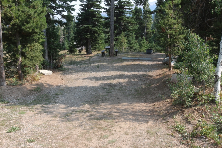 A Guide to Camping in Thompson Flat Campground Near Mount Harrison