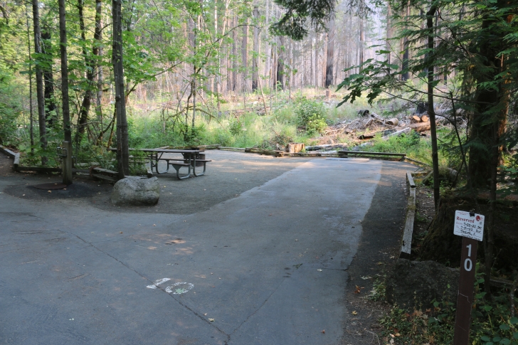 A guide to camping at Susan Creek Recreation Site on the beautiful North Umpqua River.