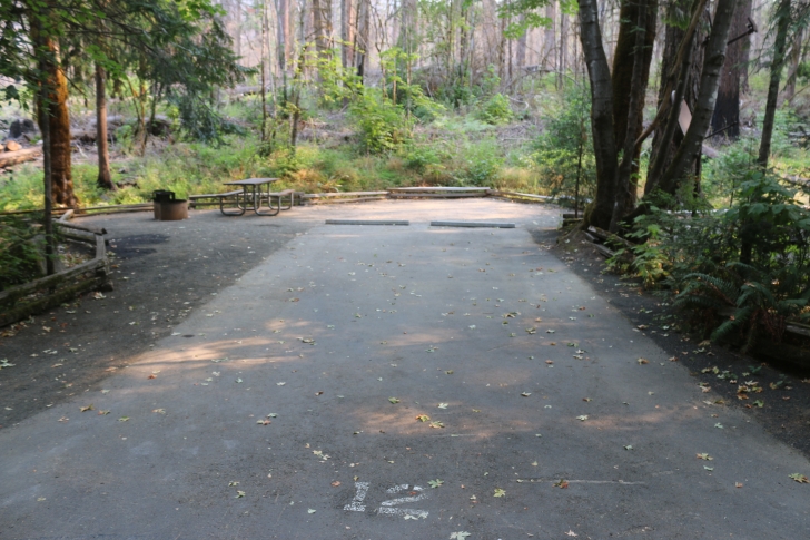 A guide to camping at Susan Creek Recreation Site on the beautiful North Umpqua River.