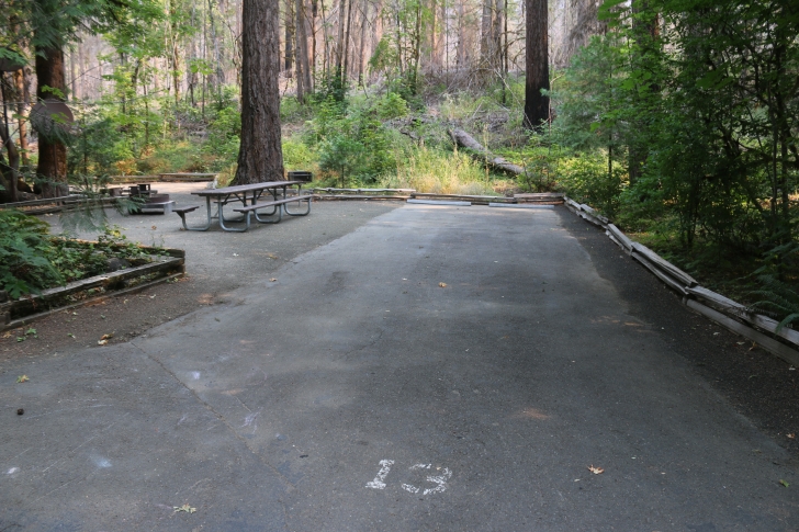 A guide to camping at Susan Creek Recreation Site on the beautiful North Umpqua River.