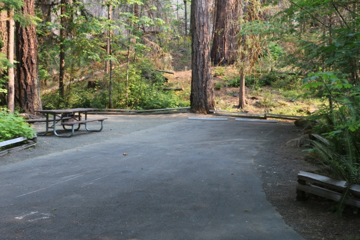 A guide to camping at Susan Creek Recreation Site on the beautiful North Umpqua River.