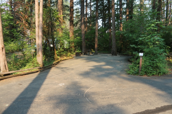 A guide to camping at Susan Creek Recreation Site on the beautiful North Umpqua River.