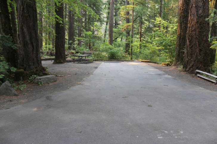 A guide to camping at Susan Creek Recreation Site on the beautiful North Umpqua River.