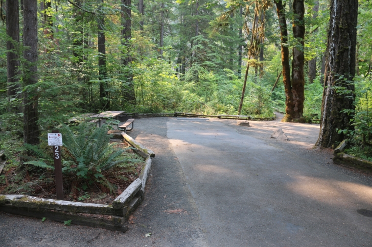 A guide to camping at Susan Creek Recreation Site on the beautiful North Umpqua River.