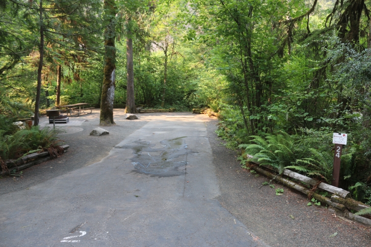 A guide to camping at Susan Creek Recreation Site on the beautiful North Umpqua River.