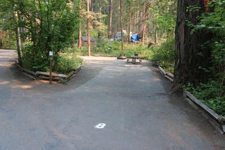 A guide to camping at Susan Creek Recreation Site on the beautiful North Umpqua River.