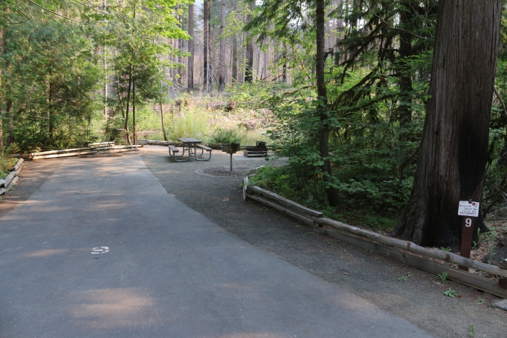 A guide to camping at Susan Creek Recreation Site on the beautiful North Umpqua River.