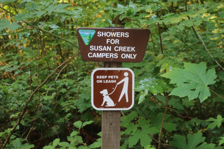 A guide to camping at Susan Creek Recreation Site on the beautiful North Umpqua River.