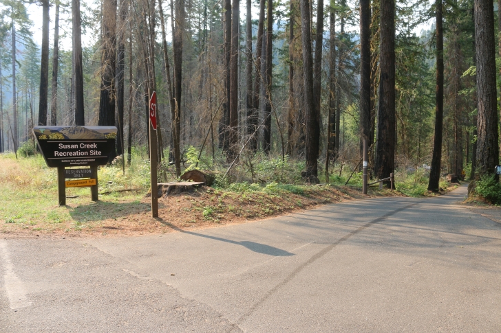 A guide to camping at Susan Creek Recreation Site on the beautiful North Umpqua River.