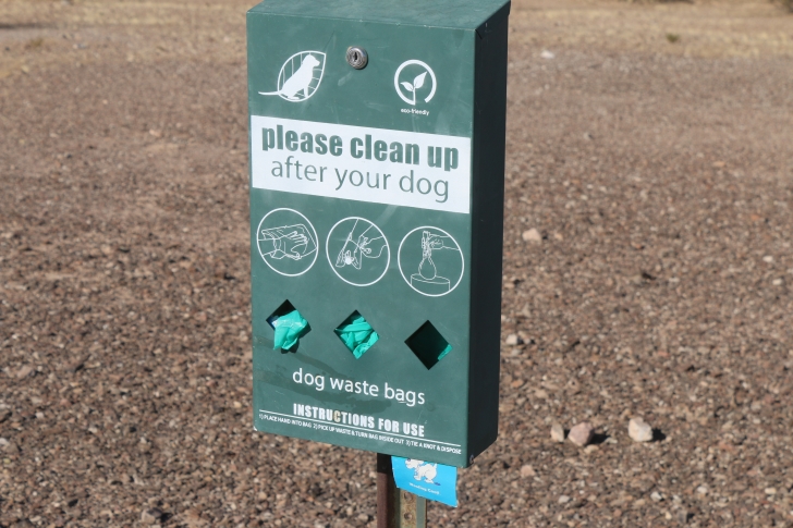 Camping at Painted Rock Campground and Petroglyph site.