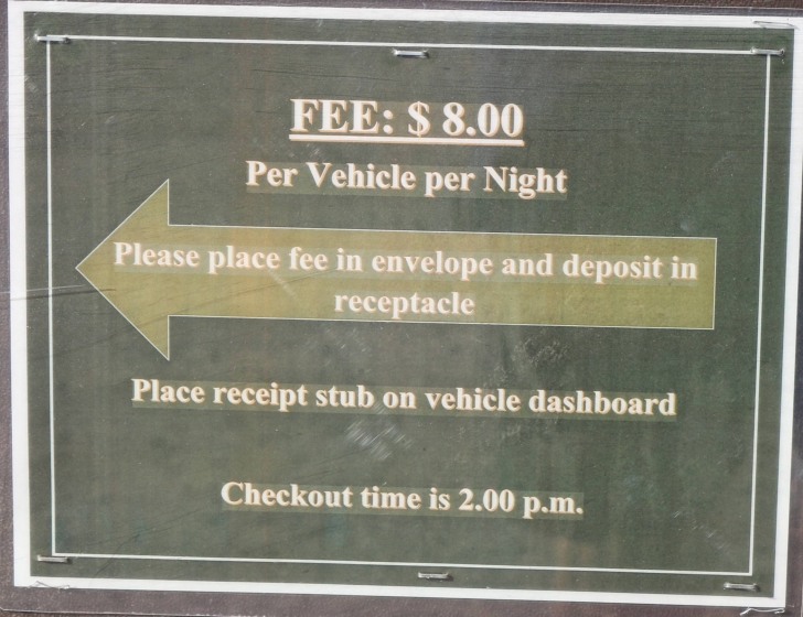 Camping at Painted Rock Campground and Petroglyph site.