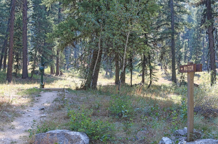 A guide to camping in Power Plant Campground near Atlanta Idaho.