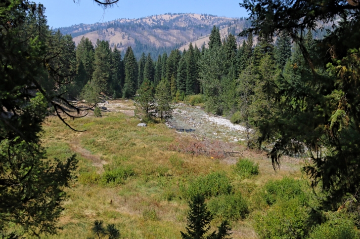 A guide to camping in Power Plant Campground near Atlanta Idaho.