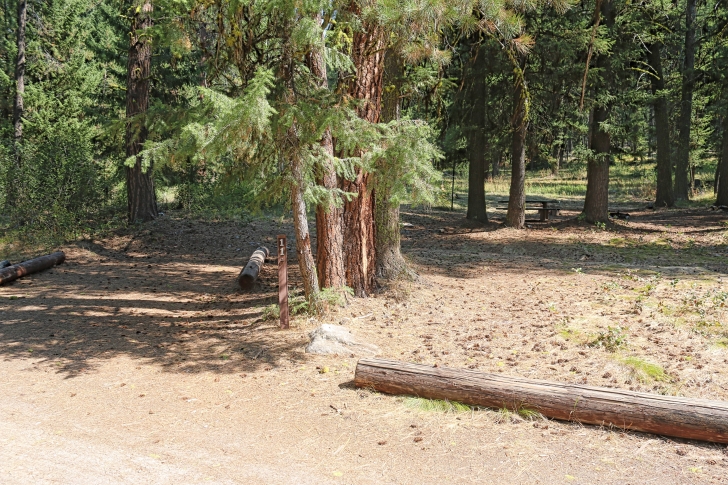 A guide to camping in Power Plant Campground near Atlanta Idaho.