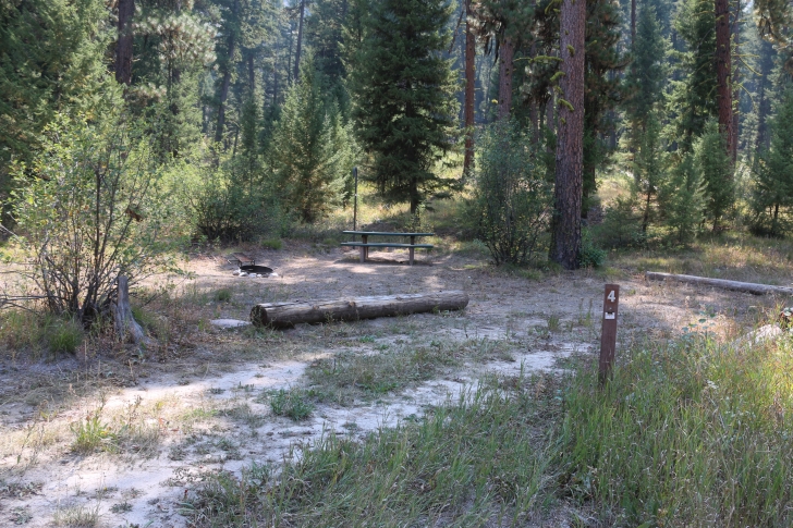 A guide to camping in Power Plant Campground near Atlanta Idaho.