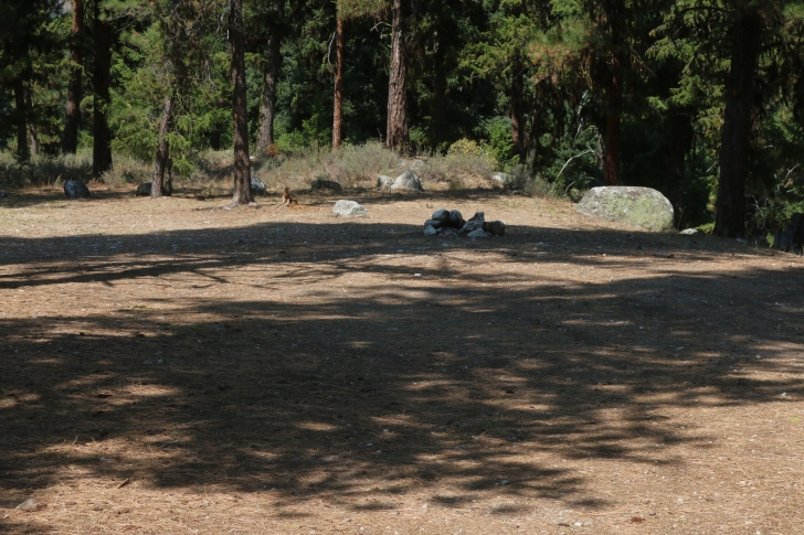 A guide to camping in Power Plant Campground near Atlanta Idaho.