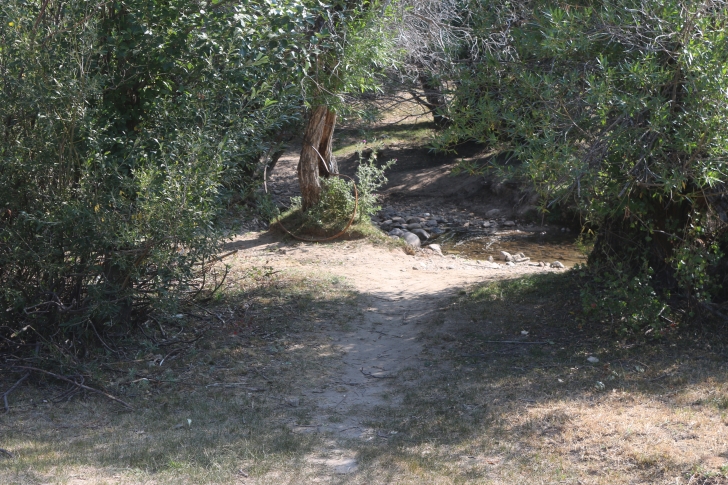 Camping at Silver City Recreation Site near historic Silver City Idaho.