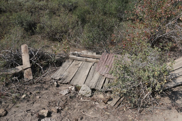 Camping at Silver City Recreation Site near historic Silver City Idaho.