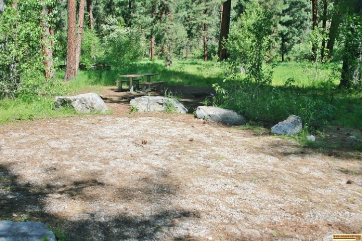 Campsite #2 in Abbot Campground