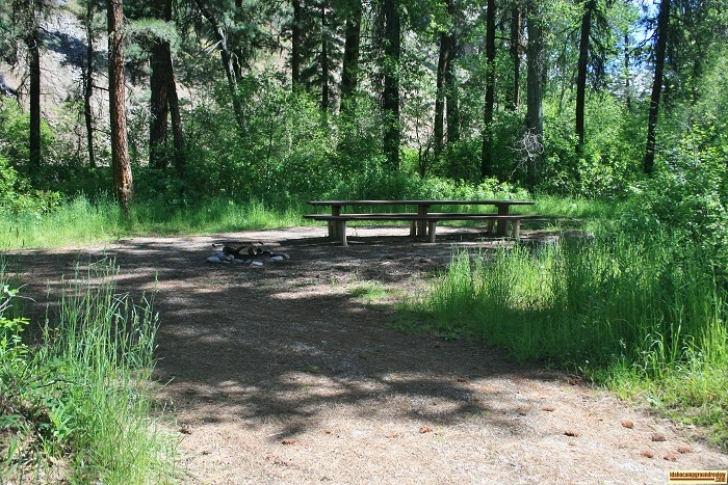 Campsite #7 in abbot Campground